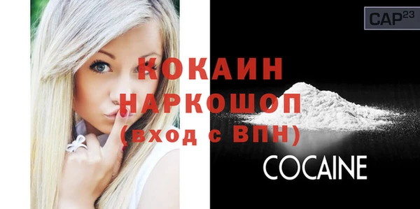 стаф Верея