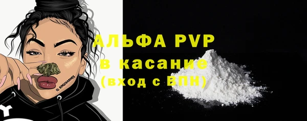 стаф Верея