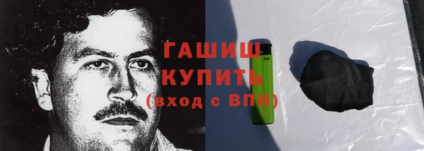 стаф Верея