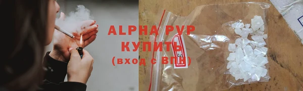 стаф Верея