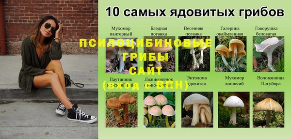 гашик Верхнеуральск