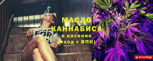 стаф Верея