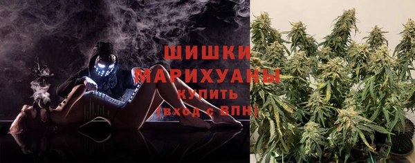 стаф Верея